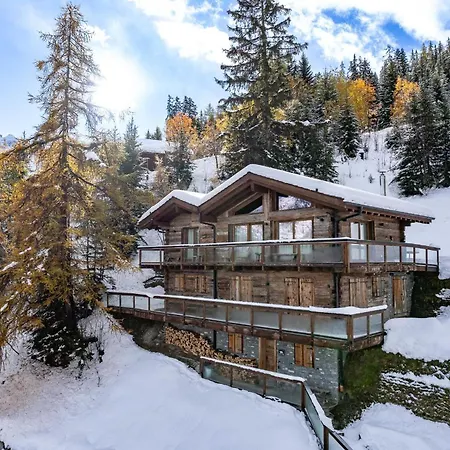 The Big Bear Chalet